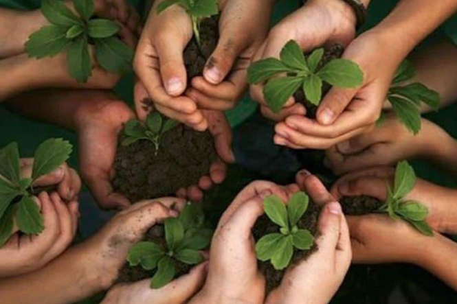 MAE leads a series of resource and environment events in June